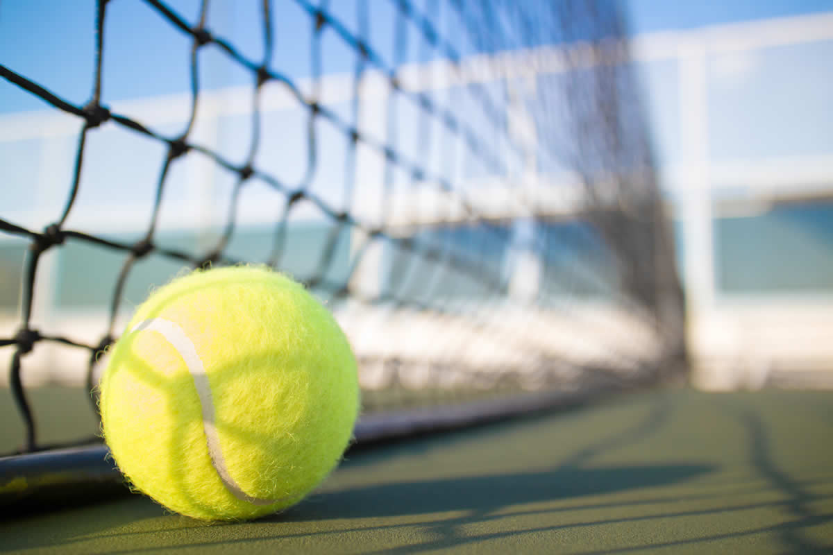 Tennis ball and net
